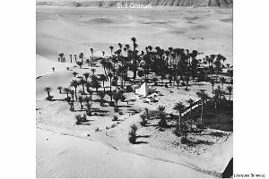 173- ARMEE DE L'AIR EN ALGERIE 1945-1962-21 (50)